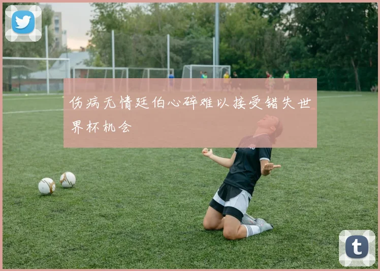 伤病无情廷伯心碎难以接受错失世界杯机会