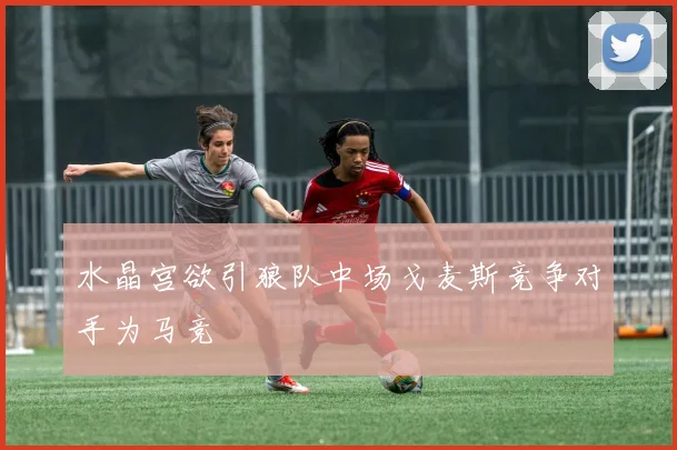 水晶宫欲引狼队中场戈麦斯竞争对手为马竞